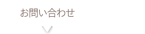ガイド